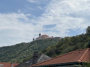 2026-08-06_foto_steinaweg_zellerkreuz_012