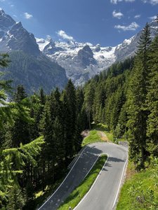 2023-06-17 - Untere Tartscher Alm - 44